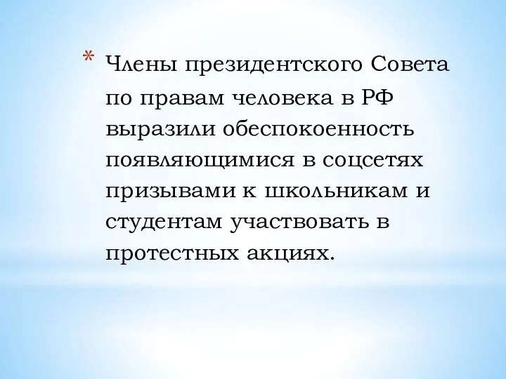 Члены президентского Совета по правам человека в РФ выразили обеспокоенность появляющимися