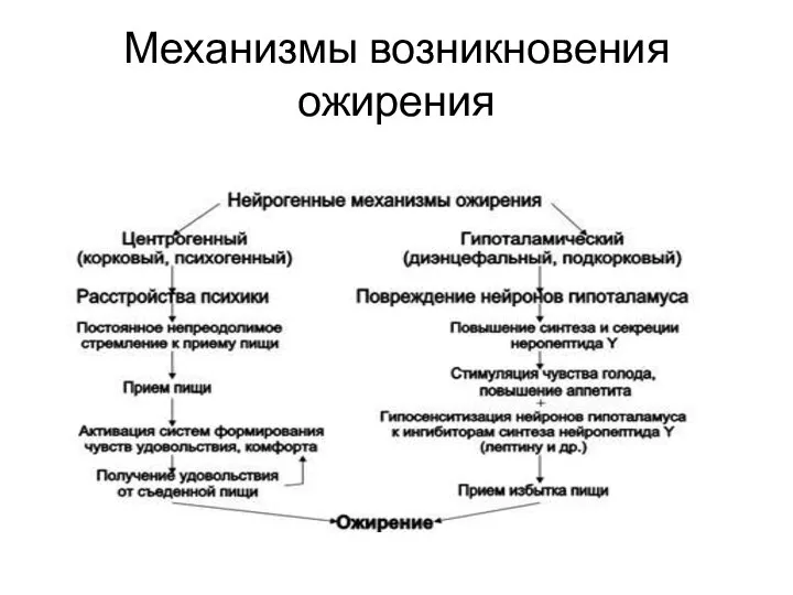 Механизмы возникновения ожирения