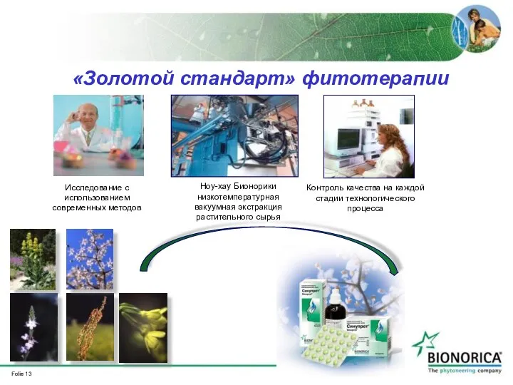 Исследование с использованием современных методов «Золотой стандарт» фитотерапии