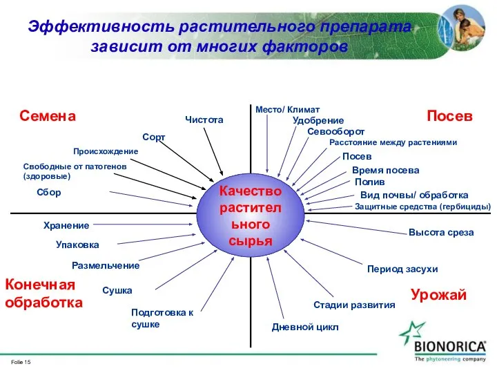 Эффективность растительного препарата зависит от многих факторов