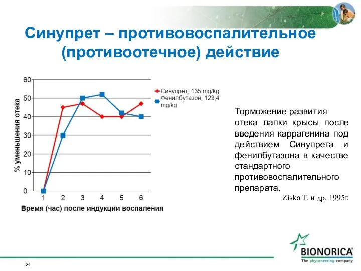 Синупрет – противовоспалительное (противоотечное) действие Торможение развития отека лапки крысы после