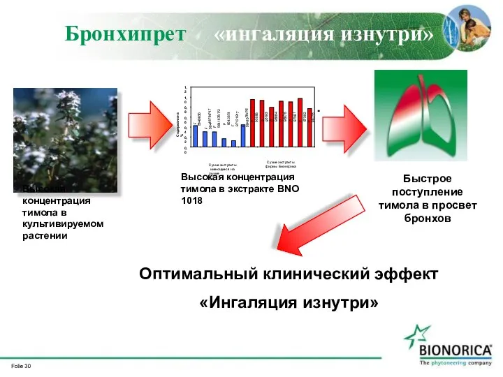 Бронхипрет «ингаляция изнутри» Высокая концентрация тимола в культивируемом растении 0,0 0,2