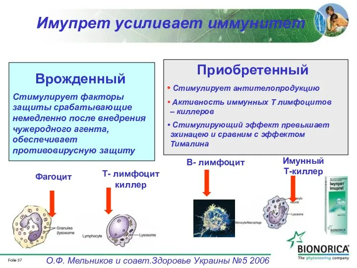 Имупрет усиливает иммунитет О.Ф. Мельников и cоавт.Здоровье Украины №5 2006 Врожденный