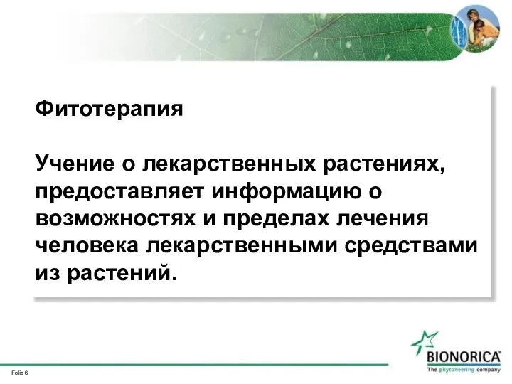 Фитотерапия Учение о лекарственных растениях, предоставляет информацию о возможностях и пределах