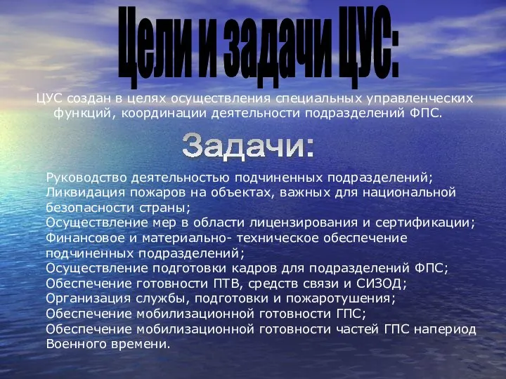 Цели и задачи ЦУС: ЦУС создан в целях осуществления специальных управленческих