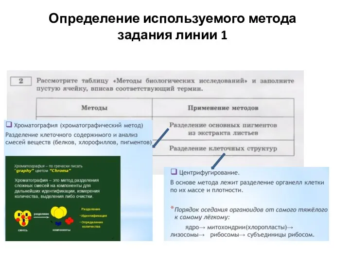 Определение используемого метода задания линии 1