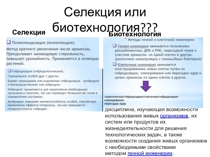 Селекция или биотехнология??? Селекция Биотехнология дисциплина, изучающая возможности использования живых организмов,