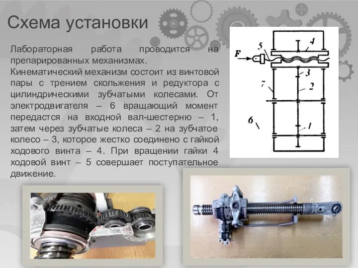Лабораторная работа проводится на препарированных механизмах. Кинематический механизм состоит из винтовой