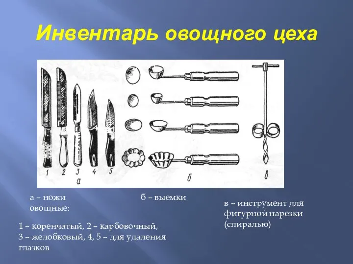 Инвентарь овощного цеха а – ножи овощные: б – выемки в