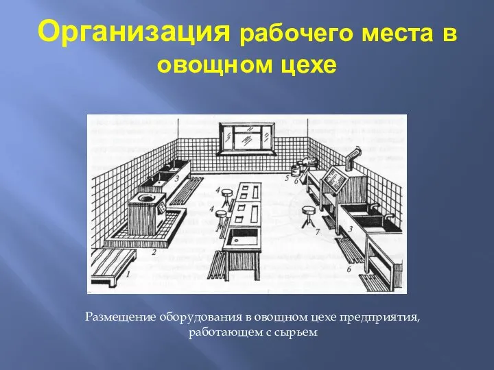 Организация рабочего места в овощном цехе Размещение оборудования в овощном цехе предприятия, работающем с сырьем