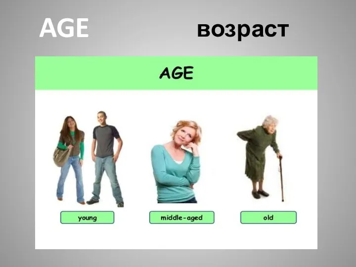 возраст AGE