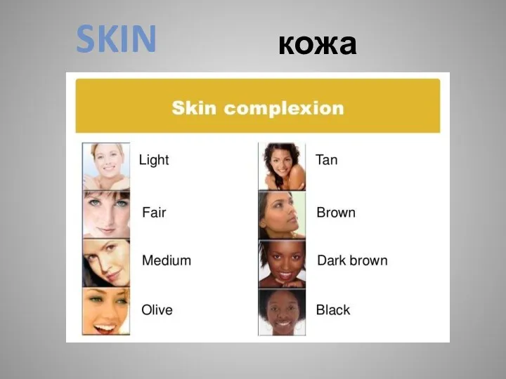 SKIN кожа