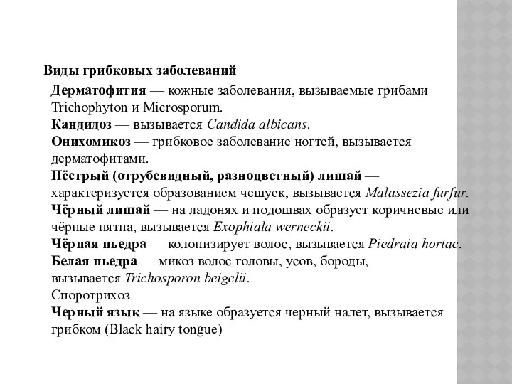 Виды грибковых заболеваний Дерматофития — кожные заболевания, вызываемые грибами Trichophyton и