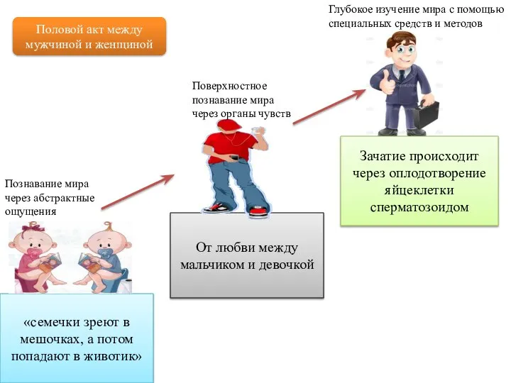 «семечки зреют в мешочках, а потом попадают в животик» От любви