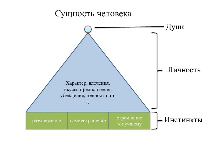 Сущность человека размножение самосохранение стремление к лучшему Характер, влечения, вкусы, предпочтения,