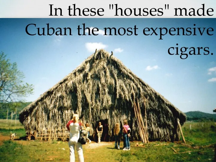 In these "houses" made Cuban the most expensive cigars.