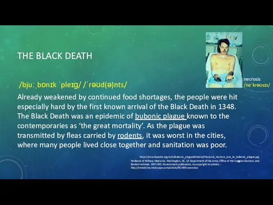 THE BLACK DEATH /bjuːˌbɒnɪk ˈpleɪɡ/ /ˈrəʊd(ə)nts/ Already weakened by continued food