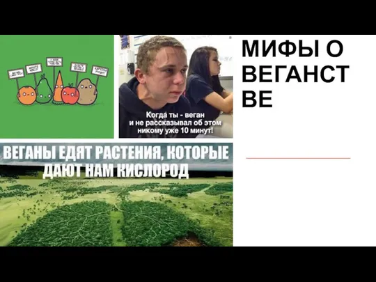 МИФЫ О ВЕГАНСТВЕ