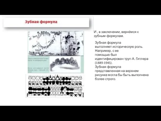 И , в заключении, вернёмся к зубным формулам. Зубная формула выполняет