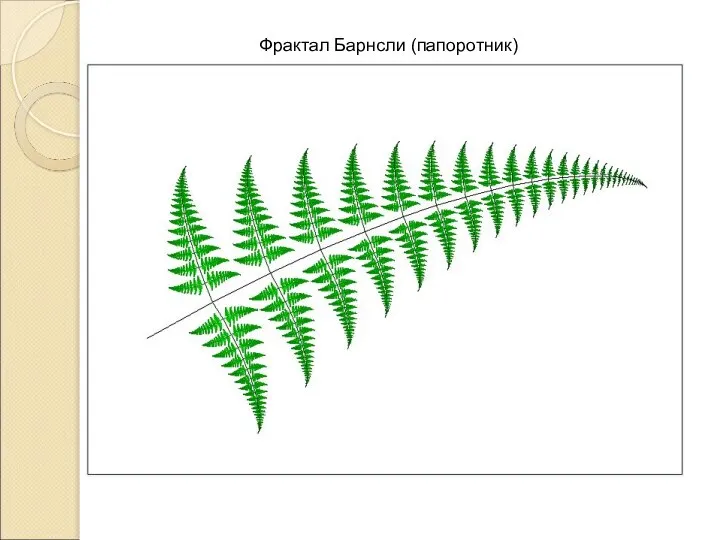 Фрактал Барнсли (папоротник)