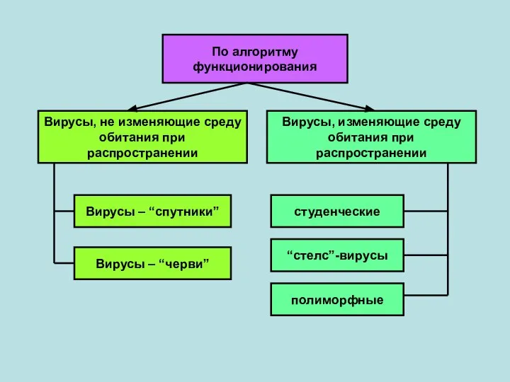 Вирусы, не изменяющие среду обитания при распространении Вирусы – “спутники” По