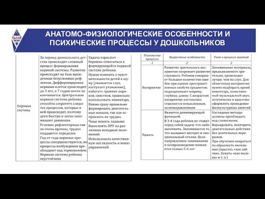 АНАТОМО-ФИЗИОЛОГИЧЕСКИЕ ОСОБЕННОСТИ И ПСИХИЧЕСКИЕ ПРОЦЕССЫ У ДОШКОЛЬНИКОВ