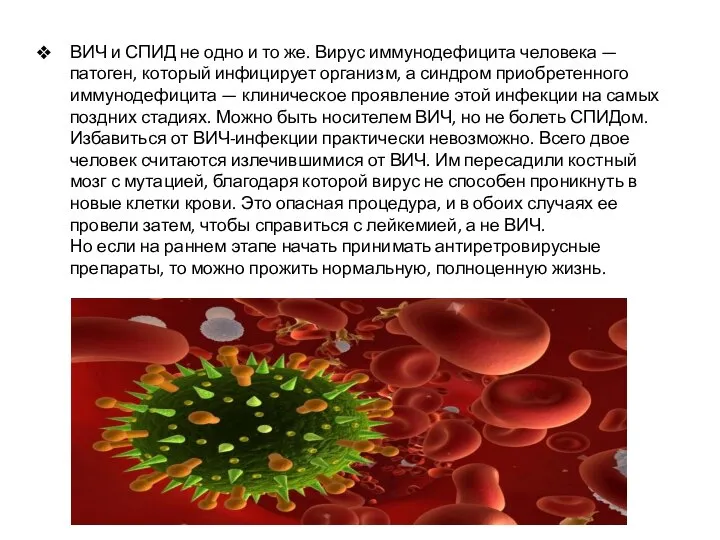 ВИЧ и СПИД не одно и то же. Вирус иммунодефицита человека