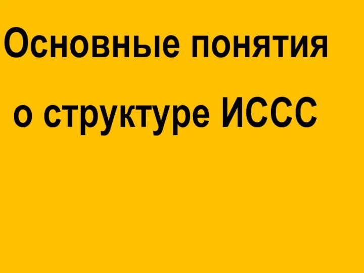 Основные понятия о структуре ИССС