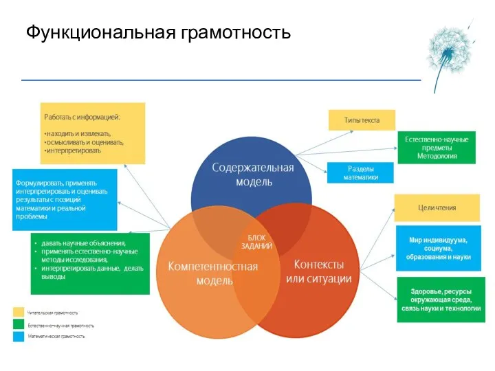 Функциональная грамотность