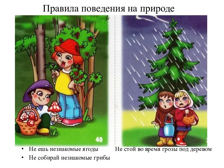 Правила поведения на природе Не ешь незнакомые ягоды Не стой во