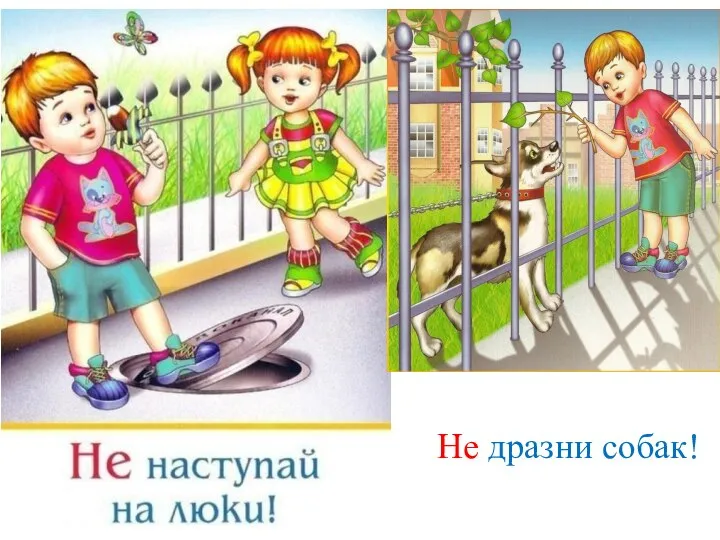 Не дразни собак!