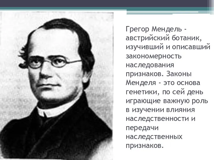 Грегор Мендель - австрийский ботаник, изучивший и описавший закономерность наследования признаков.