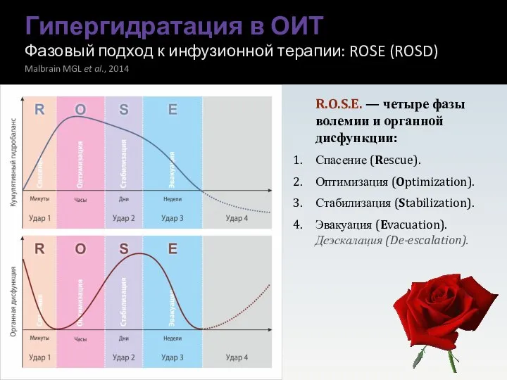 Гипергидратация в ОИТ Фазовый подход к инфузионной терапии: ROSE (ROSD) Malbrain