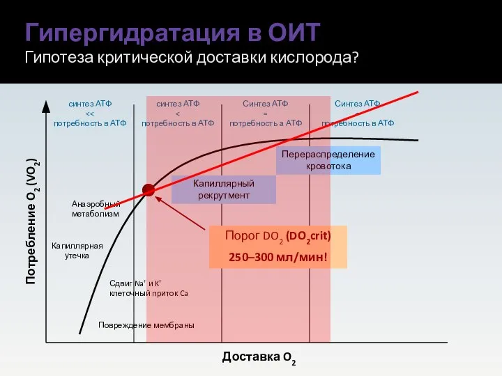 Гипергидратация в ОИТ Гипотеза критической доставки кислорода? Синтез АТФ = потребность