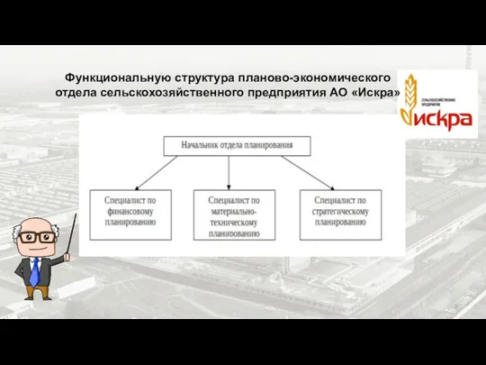 Функциональную структура планово-экономического отдела сельскохозяйственного предприятия АО «Искра»