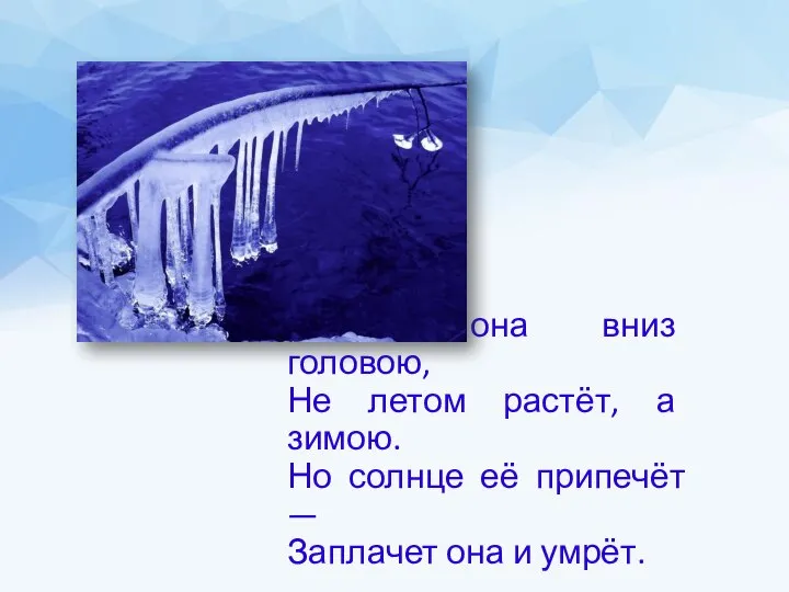 Растёт она вниз головою, Не летом растёт, а зимою. Но солнце