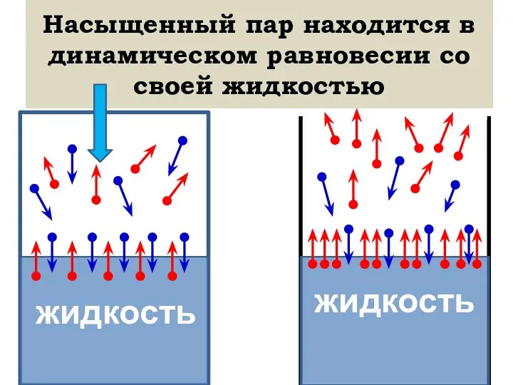 Насыщенный пар находится в динамическом равновесии со своей жидкостью жидкость жидкость