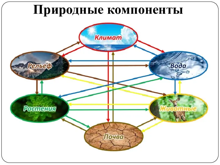 Природные компоненты