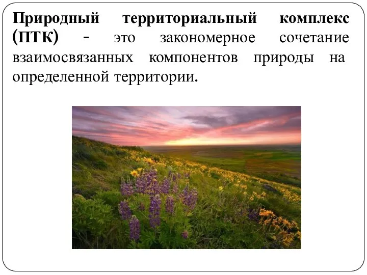 Природный территориальный комплекс (ПТК) - это закономерное сочетание взаимосвязанных компонентов природы на определенной территории.