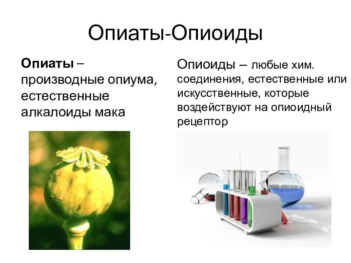 Опиаты-Опиоиды Опиаты – производные опиума, естественные алкалоиды мака Опиоиды – любые