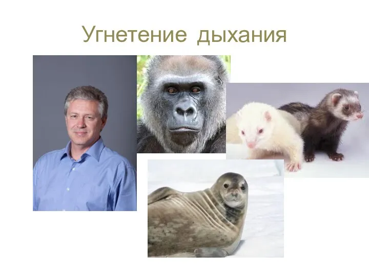 Угнетение дыхания