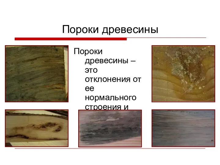 Пороки древесины Пороки древесины – это отклонения от ее нормального строения и внешнего вида