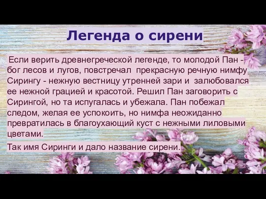 Легенда о сирени Если верить древнегреческой легенде, то молодой Пан -