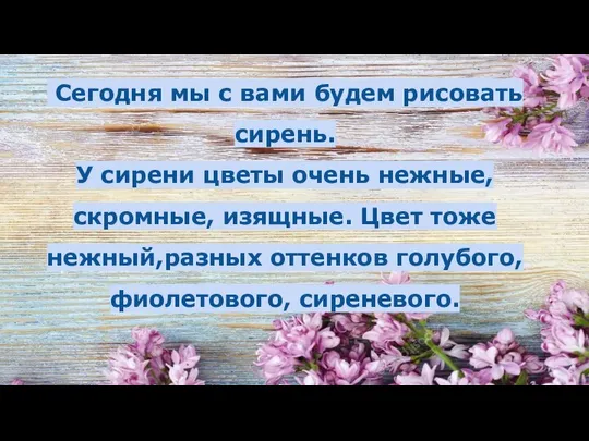 Сегодня мы с вами будем рисовать сирень. У сирени цветы очень