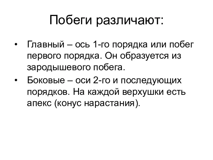 Побеги различают: Главный – ось 1-го порядка или побег первого порядка.