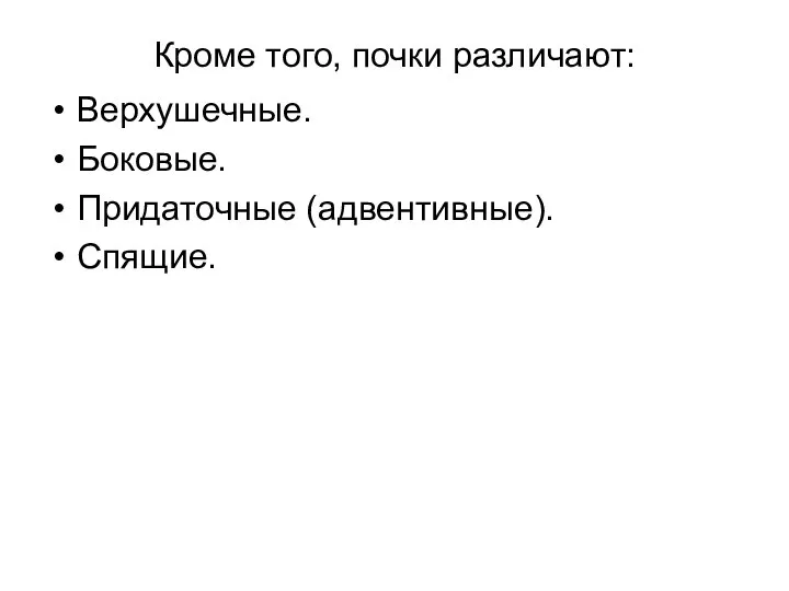 Кроме того, почки различают: Верхушечные. Боковые. Придаточные (адвентивные). Спящие.