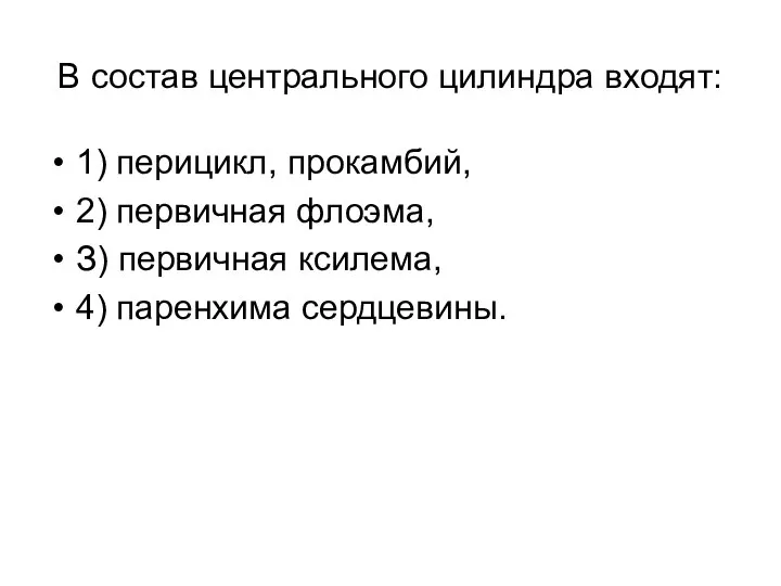 В состав центрального цилиндра входят: 1) перицикл, прокамбий, 2) первичная флоэма,