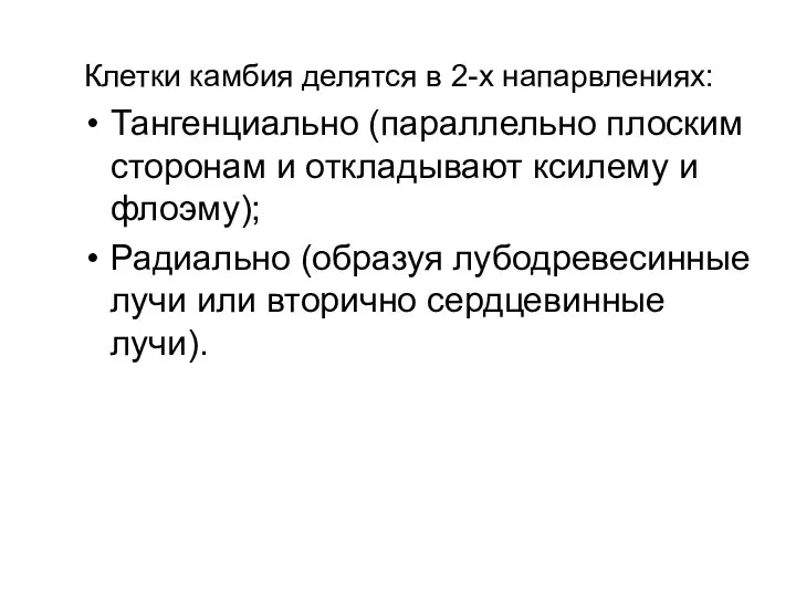 Клетки камбия делятся в 2-х напарвлениях: Тангенциально (параллельно плоским сторонам и