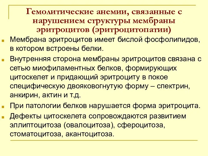 Гемолитические анемии, связанные с нарушением структуры мембраны эритроцитов (эритроцитопатии) Мембрана эритроцитов