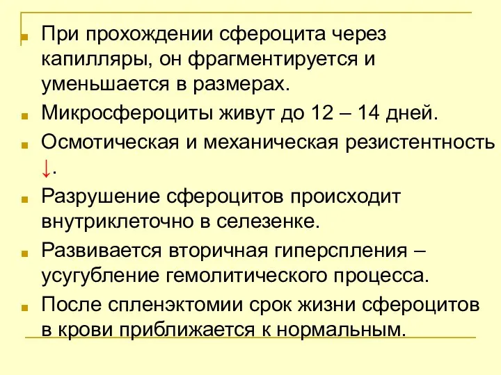 При прохождении сфероцита через капилляры, он фрагментируется и уменьшается в размерах.